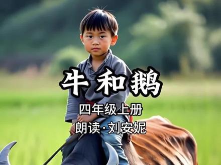 #安妮读课文 ,四年级上册《牛和鹅》