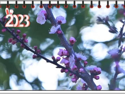 剪映制作翻页日历电子相册的方法 步骤详细#剪映教程 #剪辑技巧 #手机剪辑视频教程 #贴纸教程