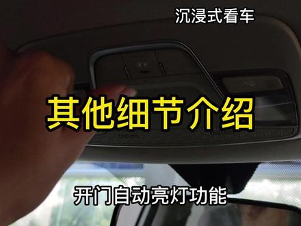 其他细节介绍 #汽车人创作计划 #懂车帝 #dou是好车 #吉利汽车 #缤越小钢炮