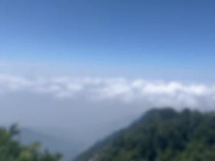 东北骂人最文雅、又嘎嘎伤人的一句是什么?#东北话十级