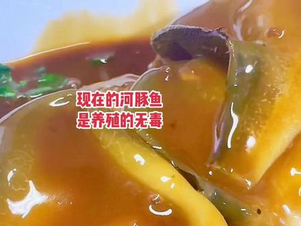 私人定制的 河豚鱼(无毒)
