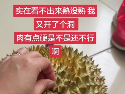 实在看不出来熟没熟 我又开了个洞
肉有点硬是不是还不行啊😂#与辉同行榴莲#与辉同行#榴莲控