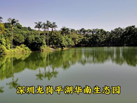 深圳龙岗平湖生态园攻略