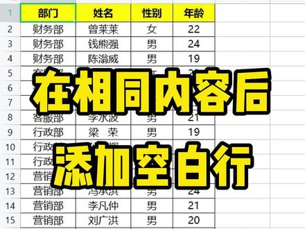 在相同内容后面批量添加一个空白行,只需新增一个辅助列就能完成!#知识分享 #excel教学 #wps表格技巧