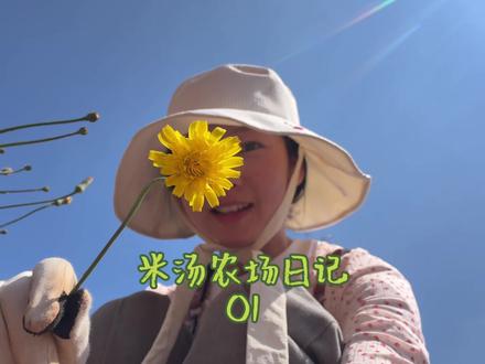 米汤农场01-大家和我一起建造农场吧!这一生的追求不过是安稳度日,平凡生活~#农场日记 #农场主 #农场 #小院改造 #改造小院