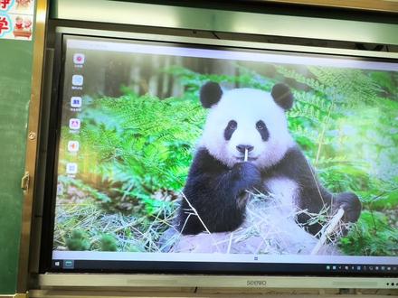 网页版班级宠物积分养宠物详细版一体机操作视频,可食用喔#班级管理 #师生日常 #班级宠物积分