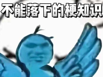 我鸟都不鸟你表情是什么梗#我鸟都不鸟你 #表情包 #梗百科 #青年创作者成长计划