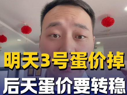明天3号蛋价下跌,后天蛋价要转稳定! #蛋鸡养殖户 #蛋鸡养殖 #蛋壳质量 #蛋鸡无抗养殖