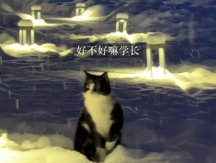 你淋湿了 温之眠
#两a相逢必有一o #柏寒温之眠 #猫耳FM