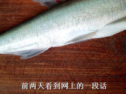 肉质鲜嫩的大白刁不用香煎也好吃,调一碗酱汁,味道差不了 #美食教程 #简单美食 #家常菜