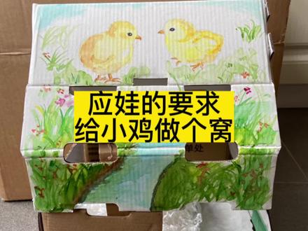 “怕它长不大,又怕它长太大”应娃的要求,用旧纸盒给小鸡做了简易鸡窝#多多的小宠物#当人类幼崽遇到小动物 #萌宠 #小鸡#自制鸡窝