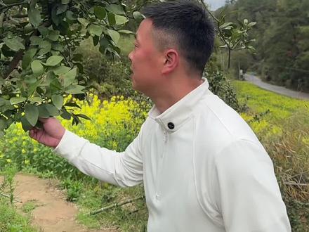 在我们湖南舅舅的地位是很高的噢,娘舅最大.您那也是这样吗?#记录真实生活 #老侯与妈妈的日常生活 #用抖音记录人生 #我为家乡代言 #农村生活