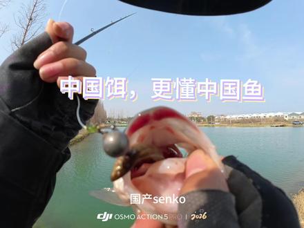 中国饵,更懂中国鱼!#泥鳅 #鲈鱼 #活饵钓鱼犯法吗 #活饵