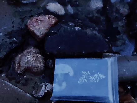 叶絮是春枝秋雨的女主角 陈煦是梁嘉泓的女主角#春枝秋雨 #小说