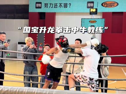 “国宝投降八角笼不敌牛教练”#国宝vs牛教练球拳大战#抖音球王争霸赛 #八角笼