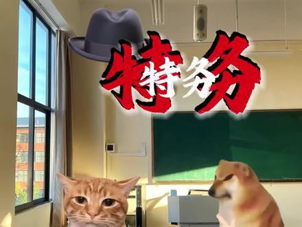 猫meme小剧场第三集:老一辈打法