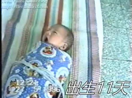 从幼苗到大树
成长过程回顾