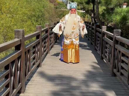 #谁说戏曲不抖音 #爱戏曲爱抖音 超长视频11分钟!