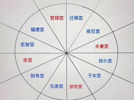 通透!!12宫位解析!!秒懂!好记!#占星 #星座 #12宫位 #星盘 #行星