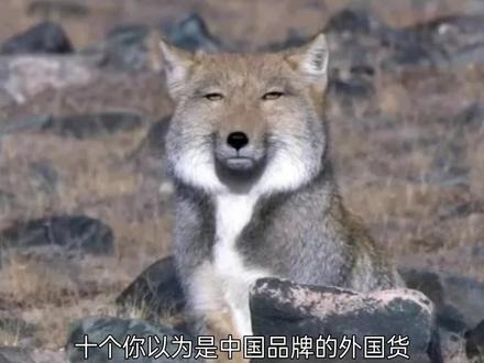 十个你以为是中国品牌的外国货,最后一个99%的人都不知道 #进口零食 @DOU+小助手