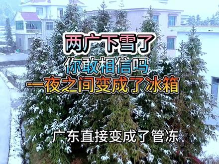 广西和广东下雪了你敢相信吗?还是速冻模式#广西也有自己的雪景 #广东冷出雾凇了 #南方下雪 #各地雪景大赏 #广西也有自己的雪景