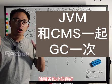 JVM-和CMS一起GC一次