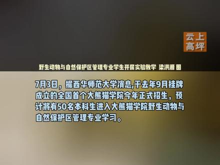 西华师范大学全国首个大熊猫学院首批招50名本科生#南充 #大熊猫