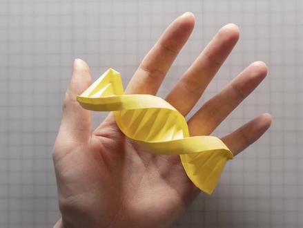 用纸来折DNA,简单又形象,超棒的生物教具