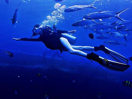 我们吞咽了太多的意义 其实生命只需要呼吸