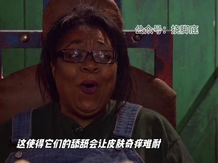 揭秘中世纪残酷刑罚:笑刑的真相与恐怖后果