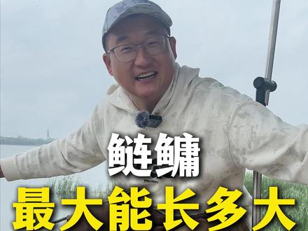 鲢鳙最大能长多大 鲢鳙最大能长多大