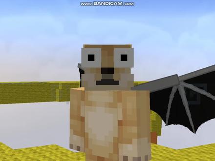 #我的世界 #随风小呵 #我的世界pvp教程 今天讲一下控距的wtap