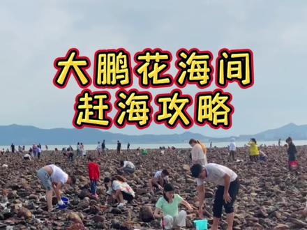 深圳大鹏最佳赶海地,最新花海间赶海攻略。#赶海 #海滩拾趣 #周末去哪玩 #户外赶海抓海鲜 #户外