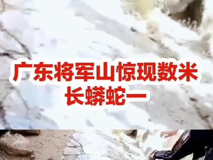 #热点 #广东将军山岁现数米蟒蛇#我的退休生活 #感谢抖音大爱给普通百姓创业赚生活费#千粉计划