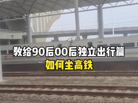 还有谁不会坐高铁整理一份时间较长的流程希望可以帮到你#高铁 #日常vlog #如何坐高铁 #教给90后00后独立生活经验