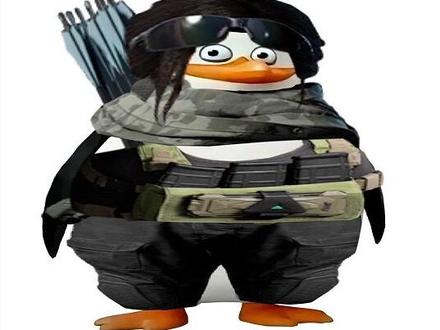 三角洲什么水平才能当护子? #三角洲行动 #三角洲护航 #三角洲护航俱乐部 #三角洲猛攻 #航天基地