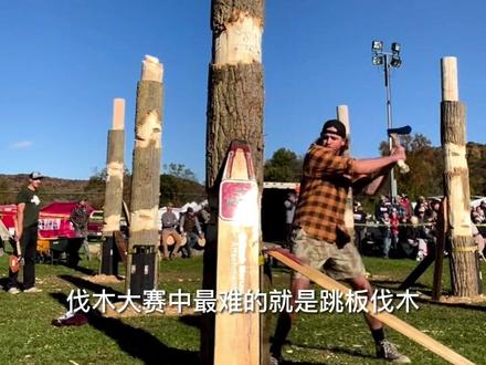 伐木大赛最难的是跳板伐木#伐木 #园林工具 #砍树