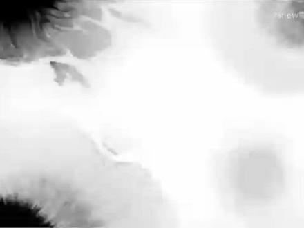 #屈原列传
确实背不下来,就只能学人家唱一遍
原视频来自billbill2snow雪兔