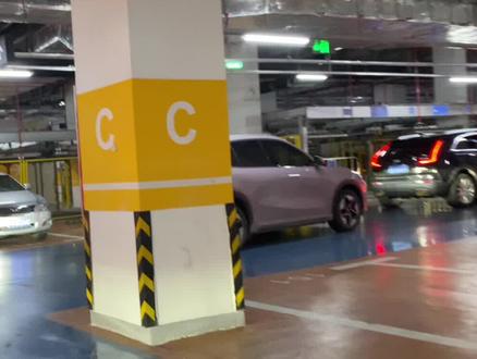 临港蓝鲸开始收停车那什么了…#临港 #临港蓝鲸 #临港新片区 #滴水湖 #南汇