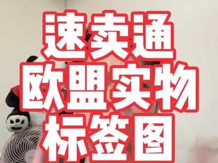 2026年速卖通欧盟标签实物图合规要求全面升级 以前能过审,不代表现在可以。都来看下有没有哪踩雷的,有则改之无则加勉哈#速卖通#速卖通运营#欧代 #跨境电商#TEMU