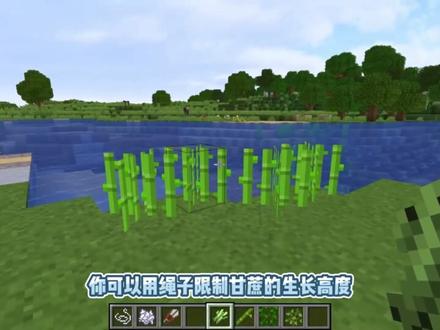 我的世界:6个花园装饰技巧,让你的庄园更加美观 #我的世界