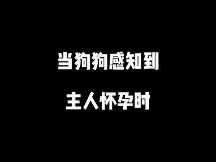 #狗狗知道主人怀孕 狗狗真的是家里第一个知道主人怀孕的吗?