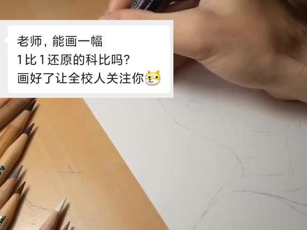粉丝投稿画科比#手绘 #绘画 #彩铅