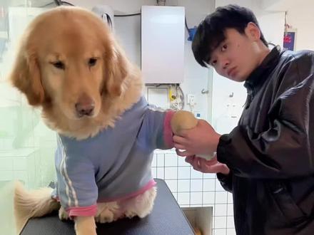 下次不准在偷看我洗澡了 #金毛 #给我擦皮鞋 #演技派 #卡点 #男模