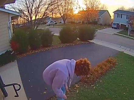 豪猪刺能 “射” 人吗?