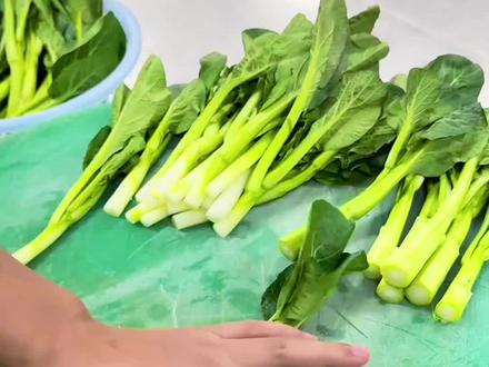 切菜方法大集合下集,简单实用,一学就会#刀工 #切菜 #厨师 #实用小技巧#生活小妙招