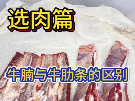 你喜欢吃牛腩还是喜欢吃牛肋条#上海 #如何挑选牛肉 ##牛肉 #抖音小助手dou上热门 #鲜牛肉