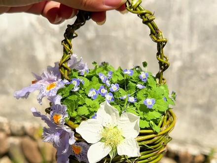 朋友送的柳条,就把它编织成春日踏青小花篮吧~ #分享你做的手工作品 #手工diy #手工 #抖音宝藏生活家#手工人的奇思妙想