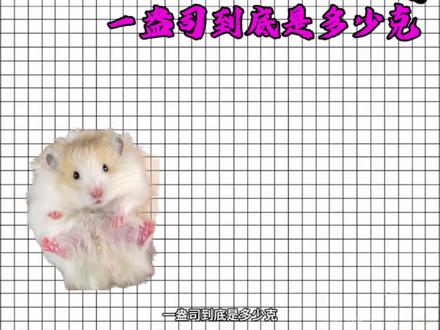 鼠鼠大学之一盎司到底多重?为什么都是一盎司重量却完全不同 #萌宠 #科普 #重量 #冷知识