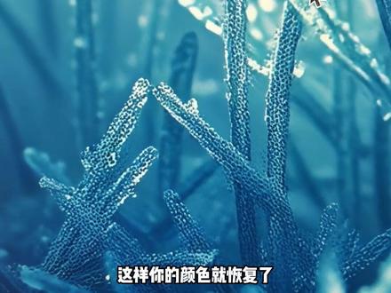显示器颜色发灰/发黄/模糊/ 不通透?一个设置轻松搞定 高级显示器面板可以设置为10-12bit 线材一定选择DP
在英伟达控制面板中将颜色输出设置为 完全输出(0‑255)后,画面会变得更鲜艳通透,是因为默认的有限输出(16‑235)会压缩黑场与高光细节。
而完全输出能让显示器完整利用全部色域与动态范围,色彩更饱满、对比度更强。
线材确实有影响,劣质或带宽不足的 HDMI、DP 线会造成信号损耗、色深压缩,即便开启完全输出也无法发挥最佳效果,只有合格的高速线材才能保证完整色彩信号正常传输,让画面真正达到通透鲜艳的状态。
#显示器 #显示器设置 #电脑知识 #电脑技巧 #电脑技巧分享